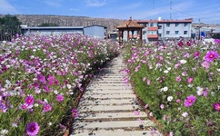 破小雏女的真实视频